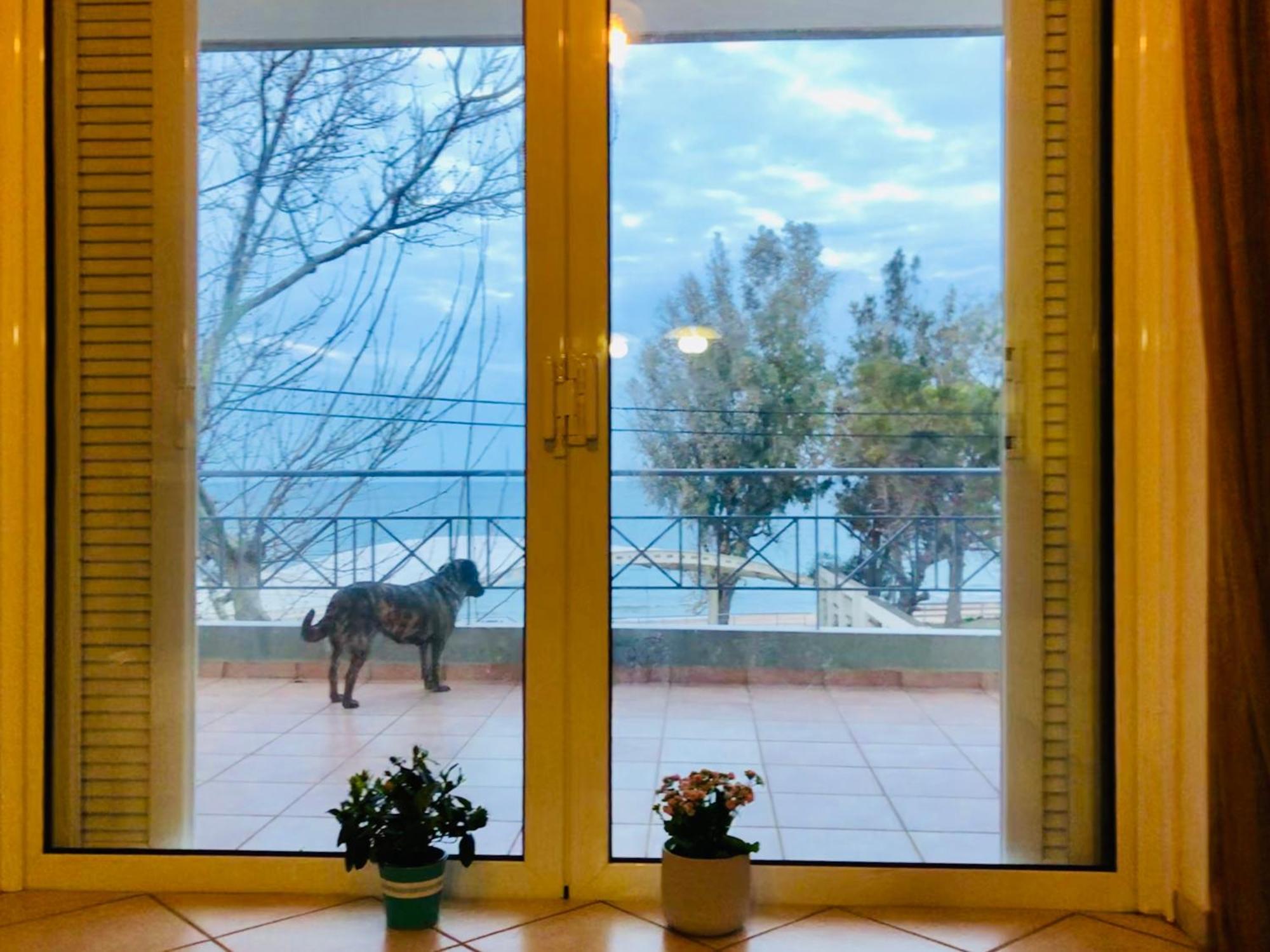 Chloe'S Sunrise Beach House Villa Атина Екстериор снимка